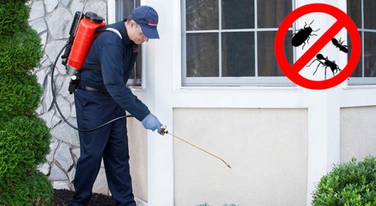Kozlu Hamam Böceği İlaçlama böcek ilaçlama ve haşere kontrolü — ilaclama-tr.com
